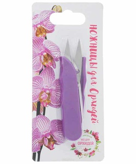 Ножницы для орхидей12х3,5см, Китай