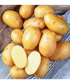 Картофель семенной Королева Анна (2 рс) 1 кг, РБ