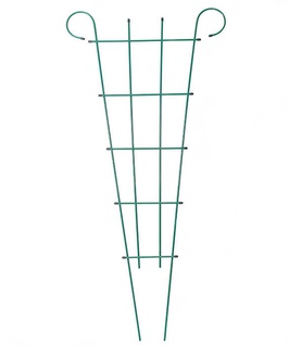 Шпалера Веер, высота - 1,86 м, ширина - 0,5-0,9 м, РФ