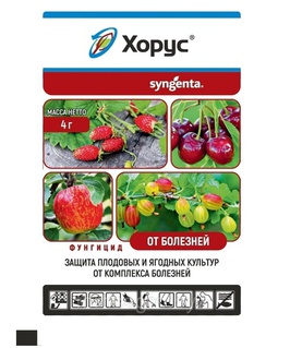 Хорус ВДГ 4 г, РБ