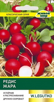 Редис Жара (W. Legutko) 5 г, Б