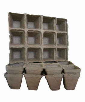 Блок из 12 торфяных горшочков, Беларусь