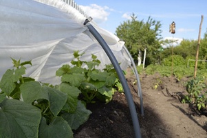 Дуги для парников