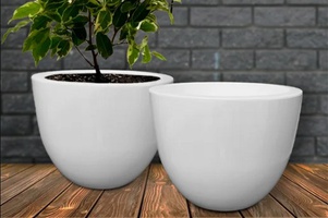 Коллекция Орион