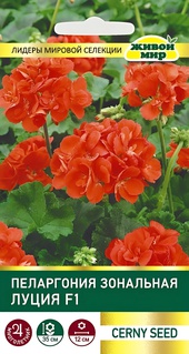 Пеларгония зональная Луция F1 (Cerny seed) 3 шт, РБ