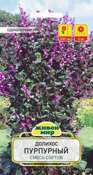 Долихос Пурпурный смесь сортов (W. Legutko) 4 шт, РБ
