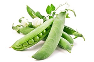 Бобы, горох, вигна