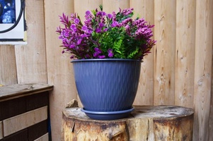 Коллекция Корсика