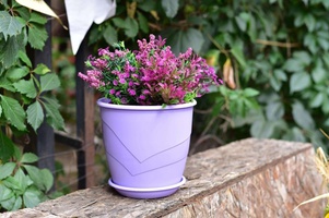 Коллекция Венеция