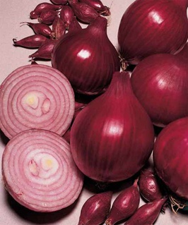 Лук севок фасованный Ред Барон (10-21 мм) 0,5 кг, Нидерланды