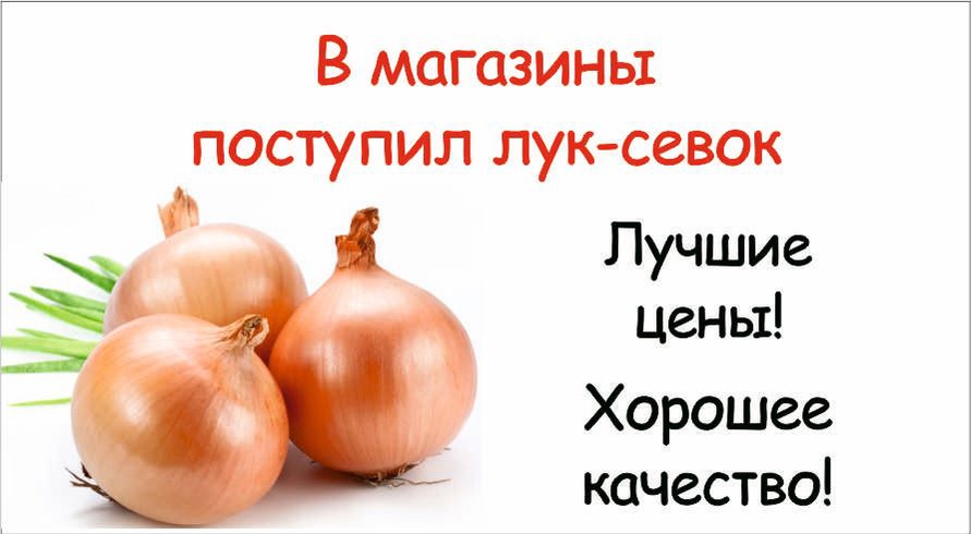 лук и чеснок