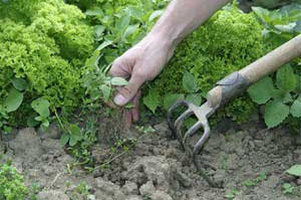 Средства от сорняков