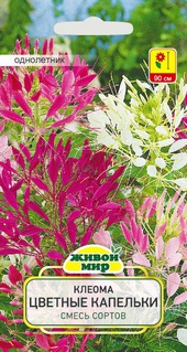 Клеома Цветные капельки смесь сортов (W. Legutko) 0,5 г, РБ