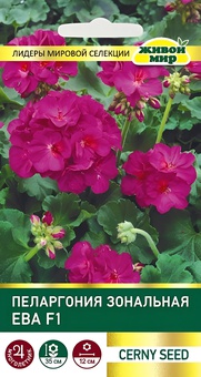 Пеларгония зональная Ева F1 (Cerny seed) 3 шт, РБ