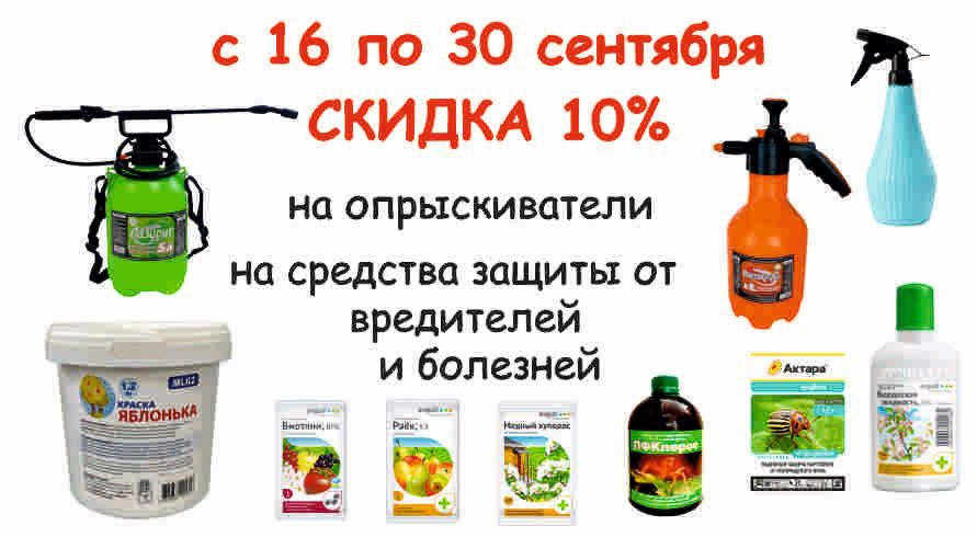 акция месяца