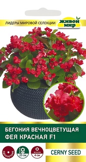 Бегония вечноцветущая Фея красная F1 (Cerny seed) 10 шт, РБ