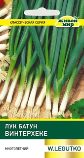Лук батун Винтерхеке (W. Legutko) 1 г, РБ
