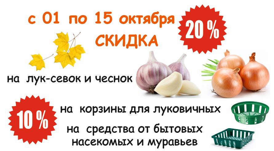 акция месяца