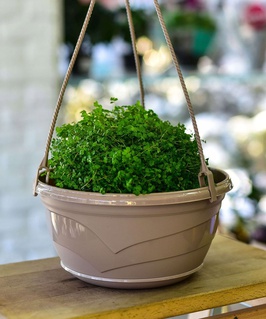 Подвесной горшок Венеция, D25,5см, 4 л, фрапе с поддоном, РФ