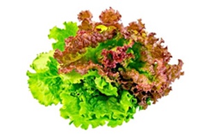 Салат, руккола, зелень