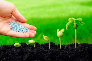 Удобрения для сада и огорода