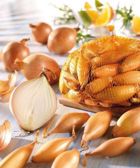 Лук севок фасованный Бирнформиге (10-21 мм) 0,5 кг, Нидерланды