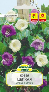 Кобея цепкая смесь (W. Legutko) 3 шт, РБ