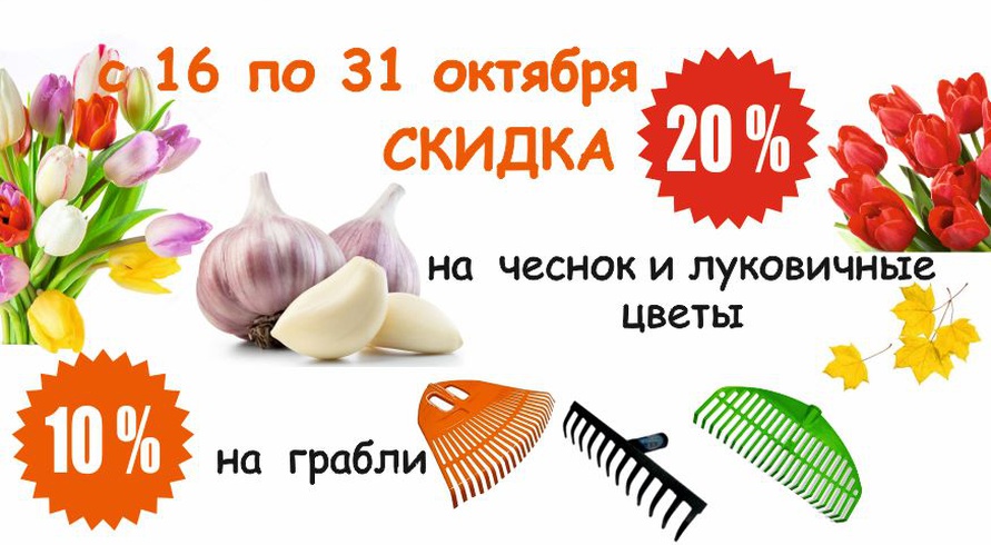 акция месяца