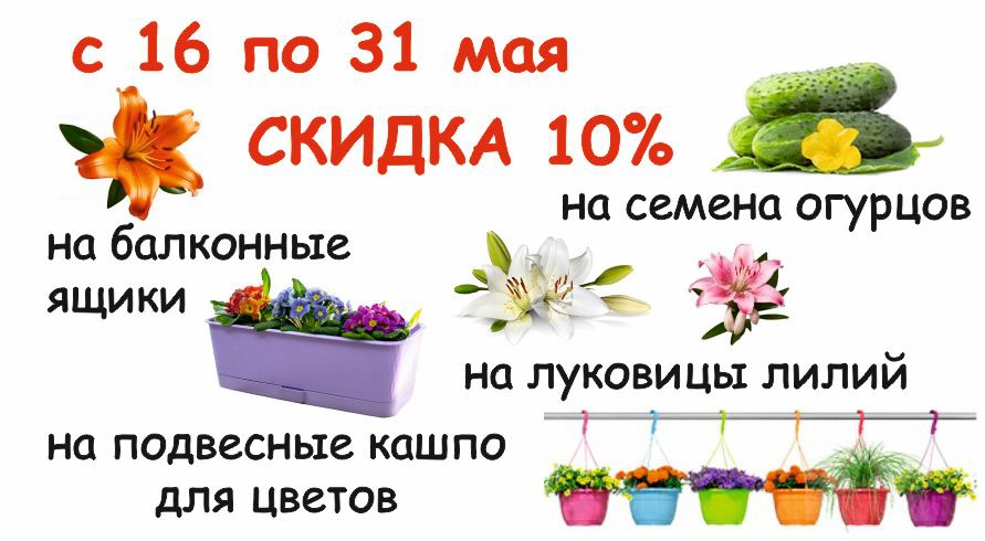 акция месяца