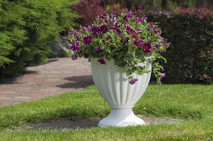 Уличные вазоны, мисы, каскады