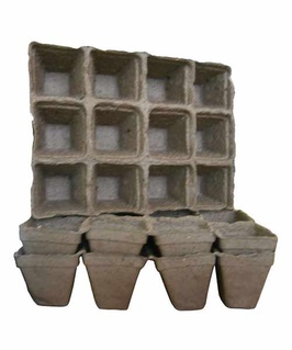 Блок из 12 торфяных горшочков, Беларусь