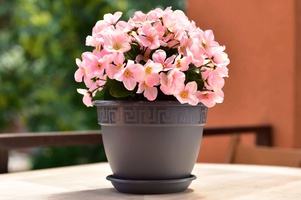 Коллекция Антик