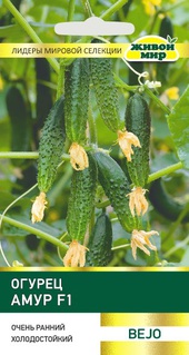 Огурец Амур F1 (Bejo Zaden) 5 шт, РБ