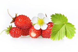 Земляника, клубника