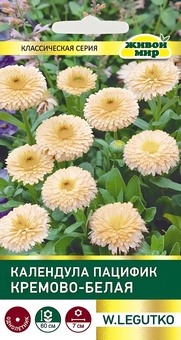 Календула Пацифик Кремово-белая (W. Legutko) 2 г, РБ