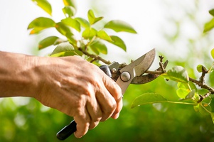 Секаторы, ножницы, ножовки, ножи