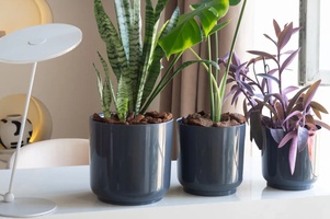 Коллекция Дельта