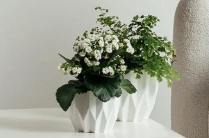 Коллекция Геометрия