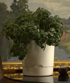 Горшок Гранд D20, 5,2 л, белый, с поддоном, РФ