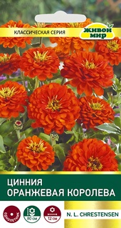 Цинния Оранжевая королева (N.L.Chrestensen) 1 г, РБ