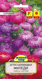 Астра Миледи карликовая смесь сортов (W. Legutko) 0,5 г, РБ