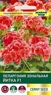 Пеларгония зональная Йитка F1 (Cerny seed) 3 шт, РБ