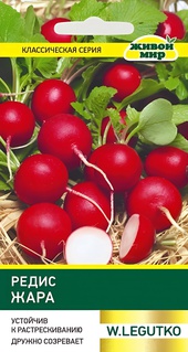 Редис Жара (W. Legutko) 5 г, Б