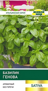 Базилик Генова (W. Legutko) 1 г, РБ