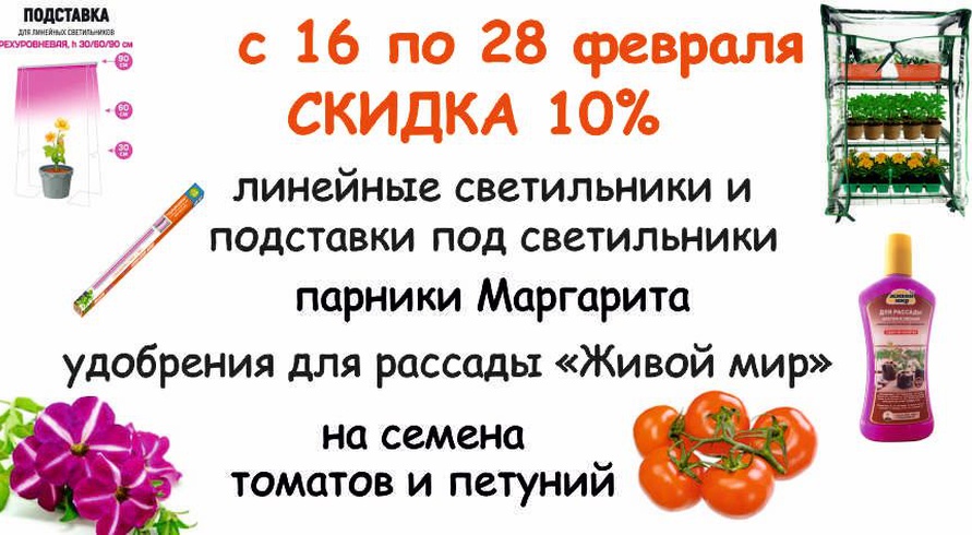 акция месяца