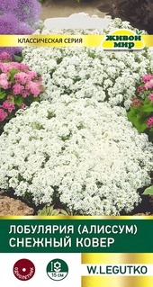 Лобулярия (Алиссум) Снежный ковер (W. Legutko) 0,3 г, РБ