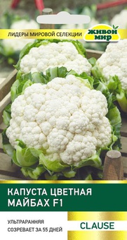 Капуста цветная Майбах F1 (Clause) 10 шт, РБ