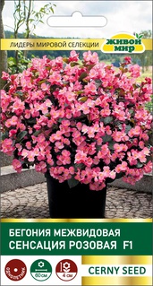 Бегония межвидовая Сенсация Розовая F1 (Cerny seed) 10 шт, РБ