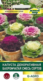 Капуста декоративная Бахромчатая смесь (Q-Agro) 0,3 г, РБ