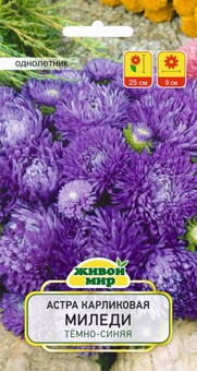Астра Миледи темно-синяя карликовая (W. Legutko) 0,3 г, РБ